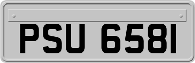 PSU6581