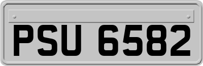 PSU6582