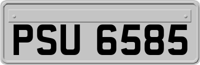 PSU6585