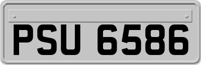 PSU6586