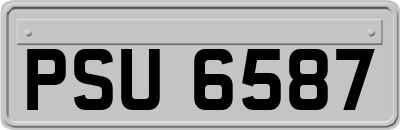 PSU6587