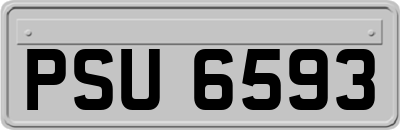 PSU6593