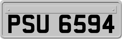 PSU6594