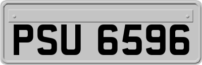PSU6596
