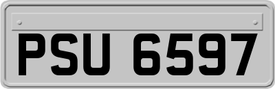 PSU6597