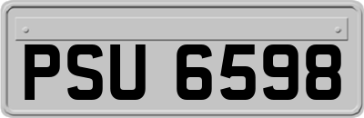 PSU6598