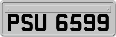 PSU6599