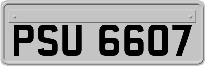 PSU6607
