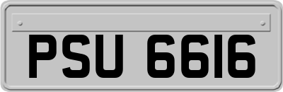 PSU6616