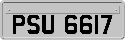 PSU6617