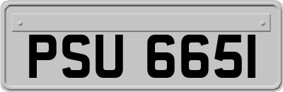 PSU6651