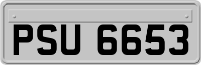 PSU6653