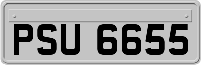 PSU6655