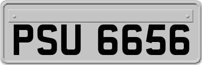 PSU6656