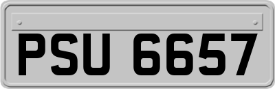 PSU6657