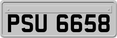 PSU6658