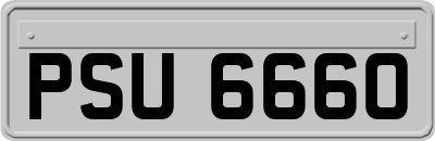 PSU6660