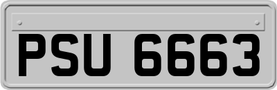 PSU6663