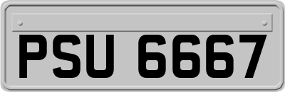 PSU6667