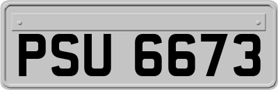 PSU6673