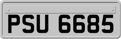 PSU6685