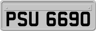 PSU6690