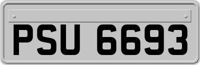 PSU6693