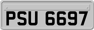 PSU6697