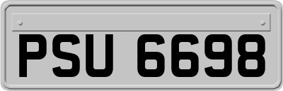 PSU6698