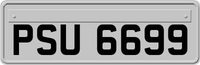 PSU6699