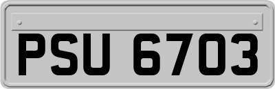 PSU6703