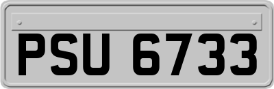 PSU6733