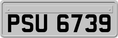 PSU6739