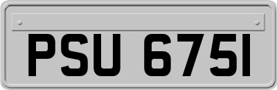 PSU6751