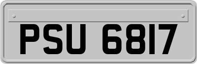 PSU6817