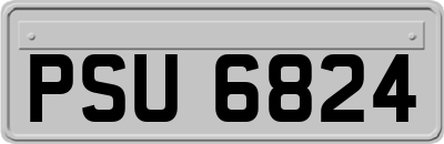 PSU6824