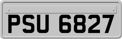 PSU6827