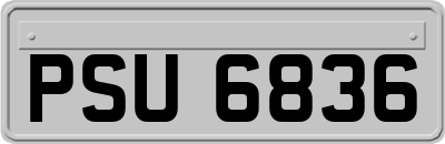 PSU6836