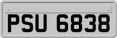 PSU6838