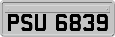 PSU6839