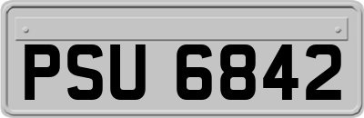 PSU6842