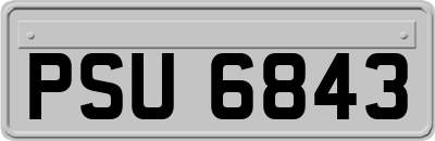PSU6843