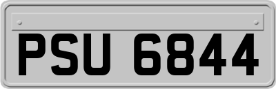 PSU6844