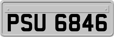 PSU6846