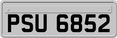 PSU6852