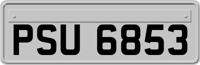 PSU6853