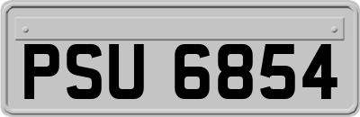 PSU6854