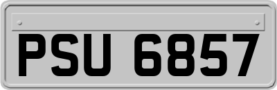 PSU6857