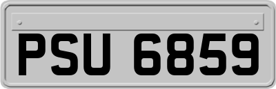 PSU6859