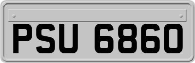 PSU6860
